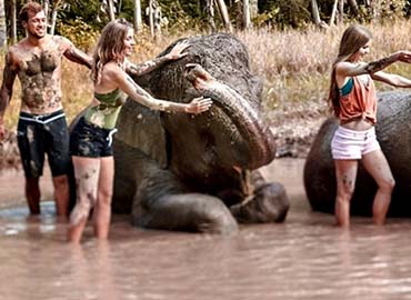 elephant mud fun