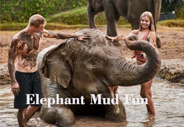 elephan mud