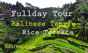 balinese temple tours and rice terrace