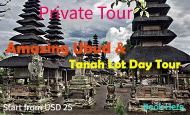 ubud day tour